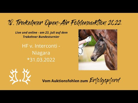 Kat.-Nr.22 HF v. Interconti - Niagara *31.03.2022
