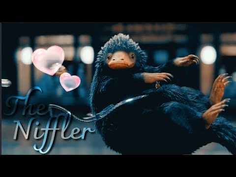 𝑻𝒉𝒆 𝑵𝒊𝒇𝒇𝒍𝒆𝒓 ~ 𝑶𝒐𝒎 𝑷𝒂𝒉 𝑷𝒂𝒉