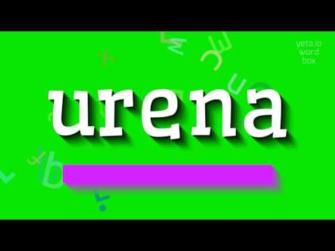 How to say "urena"! (High Quality Voices)