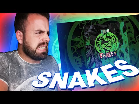 OGCADU - SNAKES (React)