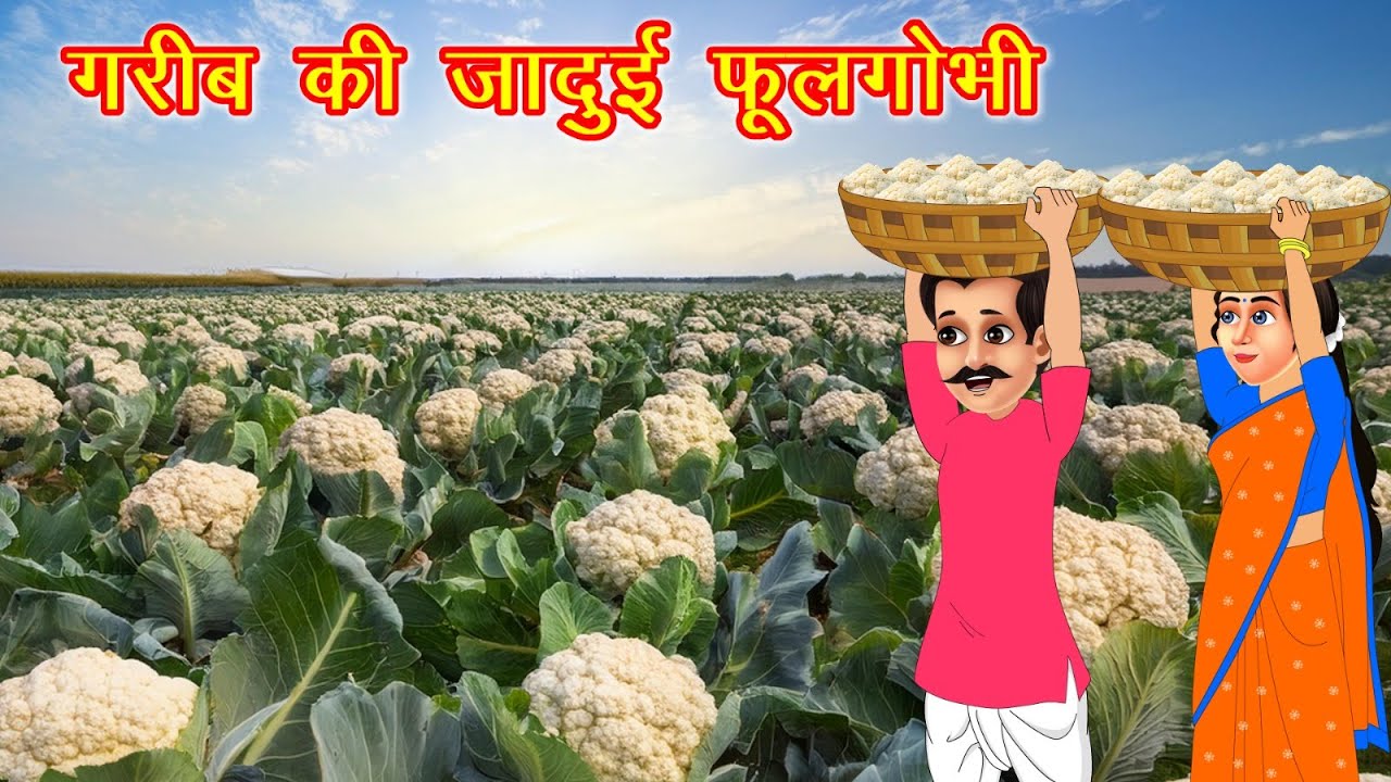 गरीब की जादुई फूलगोभी | MAGICAL CAULIFLOWER | HINDI KAHANIYA | MORAL STORIES | JADUI KAHANIYA