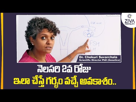 నెలసరి 2వ రోజు ఇలా చేస్తే || How To Get Pregnant Fast in Telugu || Dr C Suvarchala