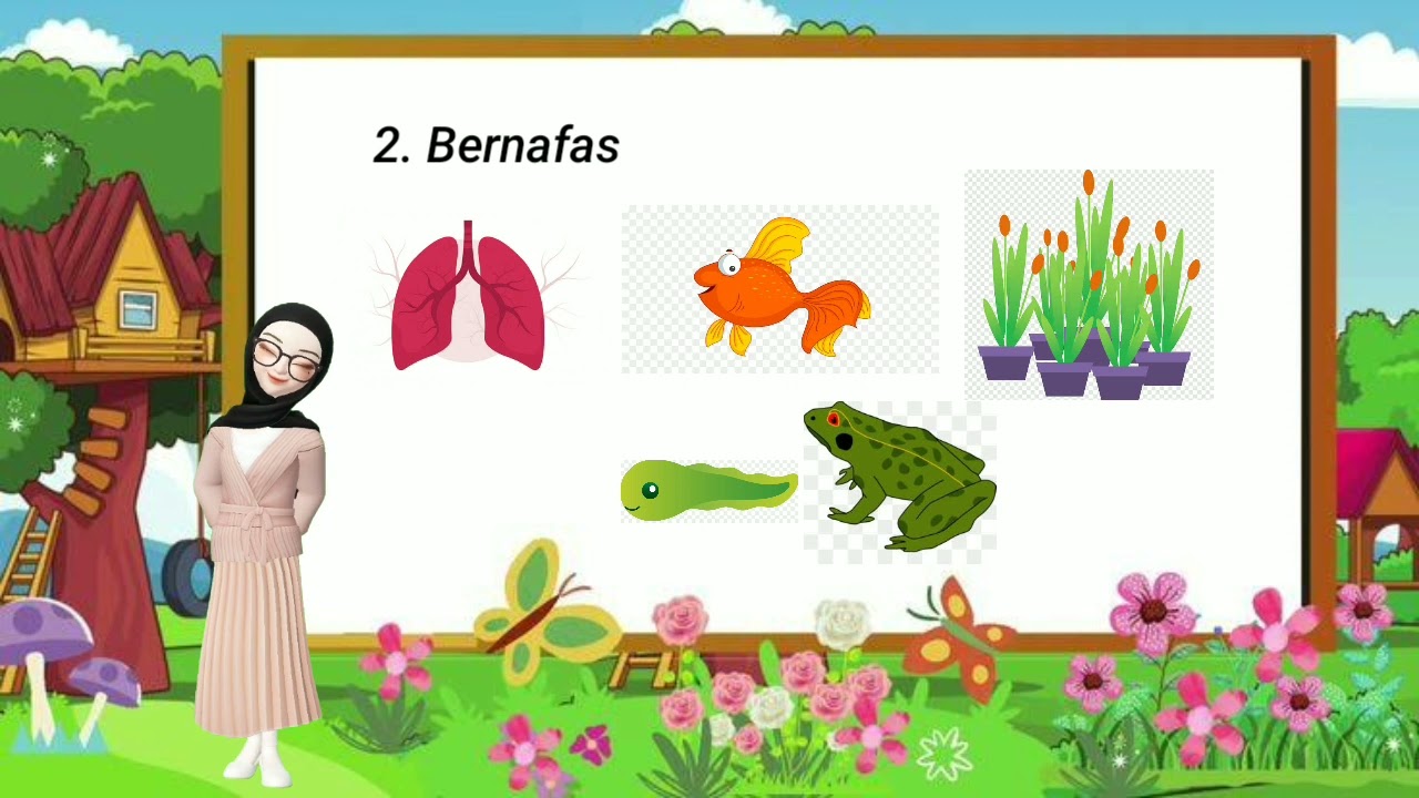 Media Pembelajaran Animasi|Ciri-ciri Makhluk Hidup|Kelas 3 Tema 1 Subtema 1