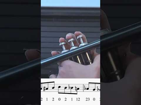 Chromatic Scale B flat trumpet C to C #trumpet #music #jazz #musician #scale 🎺