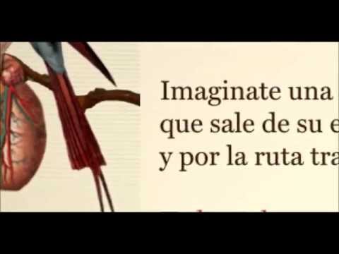 El Gran Depredador - Cientificos Del Palo