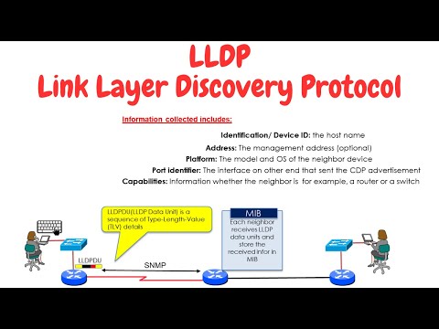 Link Layer Discovery Protocol (LLDP)