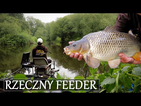 FEEDEREM w RZECE - Jeszcze więcej leszczy oraz rzeczny KARP