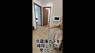 【ベトナム人オーナーに豚小屋と罵られた😱】 #ベトナム人 #vietnam #中途半端な小金持ち#ベトナムアパート賃貸#成金#ベトナム人オーナー#lentapart#幹事悪い#shorts