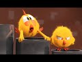 Where's Chicky? | The Organ (S02E18) Cartoon Collection in English for Kids | New episodes