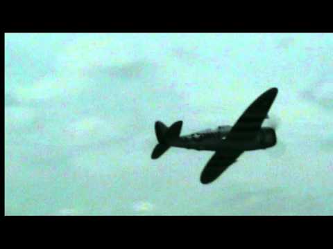 Mark Hinton's 110" P47