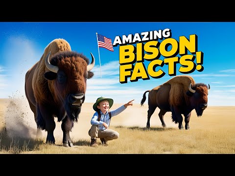 🦬 BIG BISON Adventure for Kids | American Buffalo Facts, Games & Learning | Jungle Journey