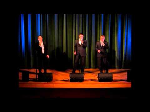 Koncert Eroika - romantični koncert najlepših melodij, Celjski dom, februar 2014