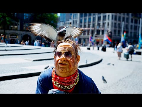 Boer Harm - Dure Dag