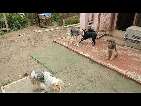 Video Tamara und Maja