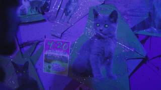 Oozing Wound - Diver (Official Music Video)