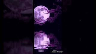 Natalia Lafourcade,feat Omara Portuondo-Tú Me Acostumbraste.