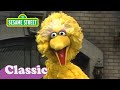 Everybody In My Family Song With Big Bird Sesame Street Classic