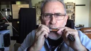 Video thumbnail for Suzuki Olive vs. Hohner Marine Band by brotherDougE