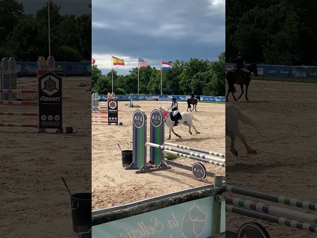 Poney de sport CSO- 100- 110 cm 