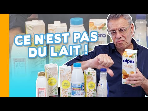 Le Lait Végétal ? C'est du Jus ! Pas du Lait ! Amande, Avoine, Soja...