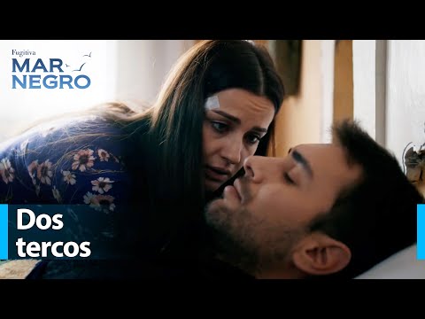 I wish I could break your head tonight! - Black Sea Chapter 7 | Fugitive