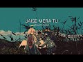Jaise Mera Tu ( Slowed & Reverb )
