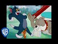 Tom Et Jerry En Français L Amusement Du Soir WB Kids
