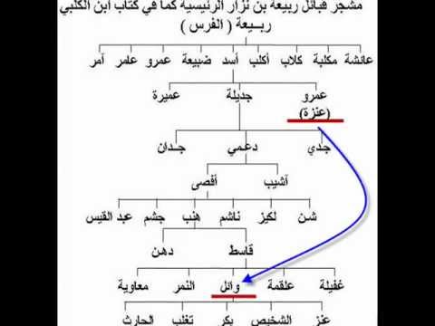 نسب وجذور قبيلة عنزة الوائلية (شرح مبسط)