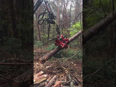 Houtoogstmachines - Video 2