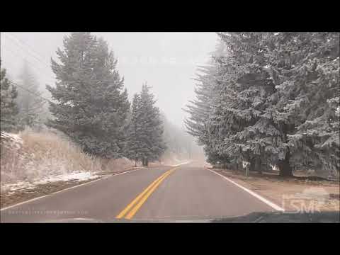 01-19-2022 Green Mountain Falls, CO - Frozen Fog with Rime Ice