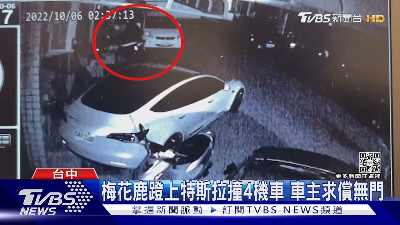 梅花鹿遭狗追 蹬上特斯拉「跳車」撞倒4機車