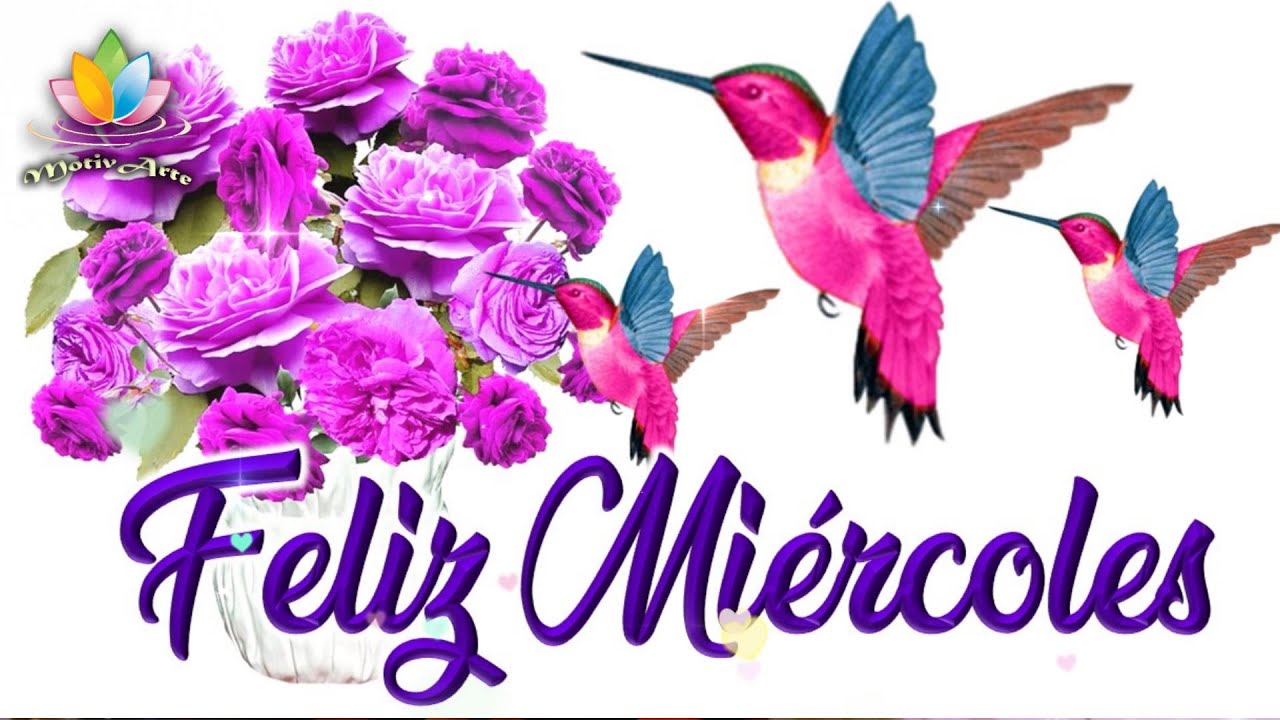 Buenos días Feliz miércoles  Video de buenos días Frases bonitas de buenos días e imágenes bonitas