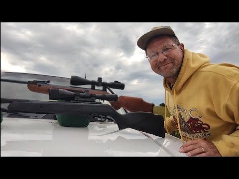 Gamo Hornet Maxxim vs Weihrauch HW95 Luxus