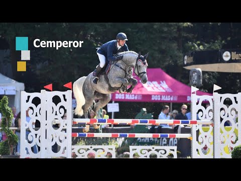 CEMPEROR ~ 5j. gek. Hengst v. Cellestial-Kaiserwind ~ seine 8 schwersten & wichtigsten Parcours 2021