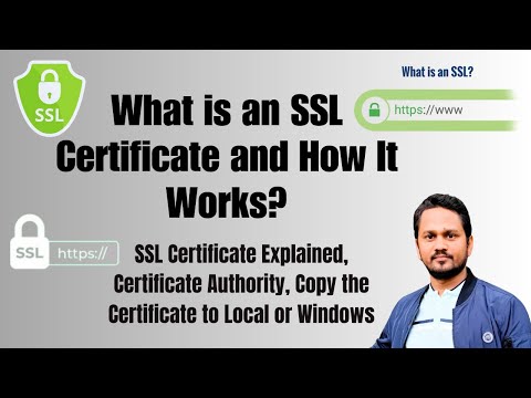 SSL Certificate: The Backbone of Online Security | Vibepedia