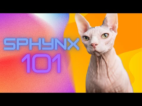 Sphynx Cats 101: The Surprising Truth About These Hairless Wonders