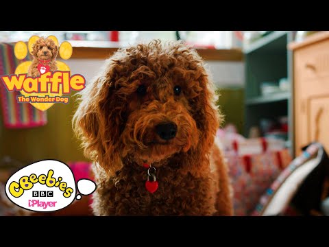 Waffle the Wonder Dog Paints a Picture | CBeebies