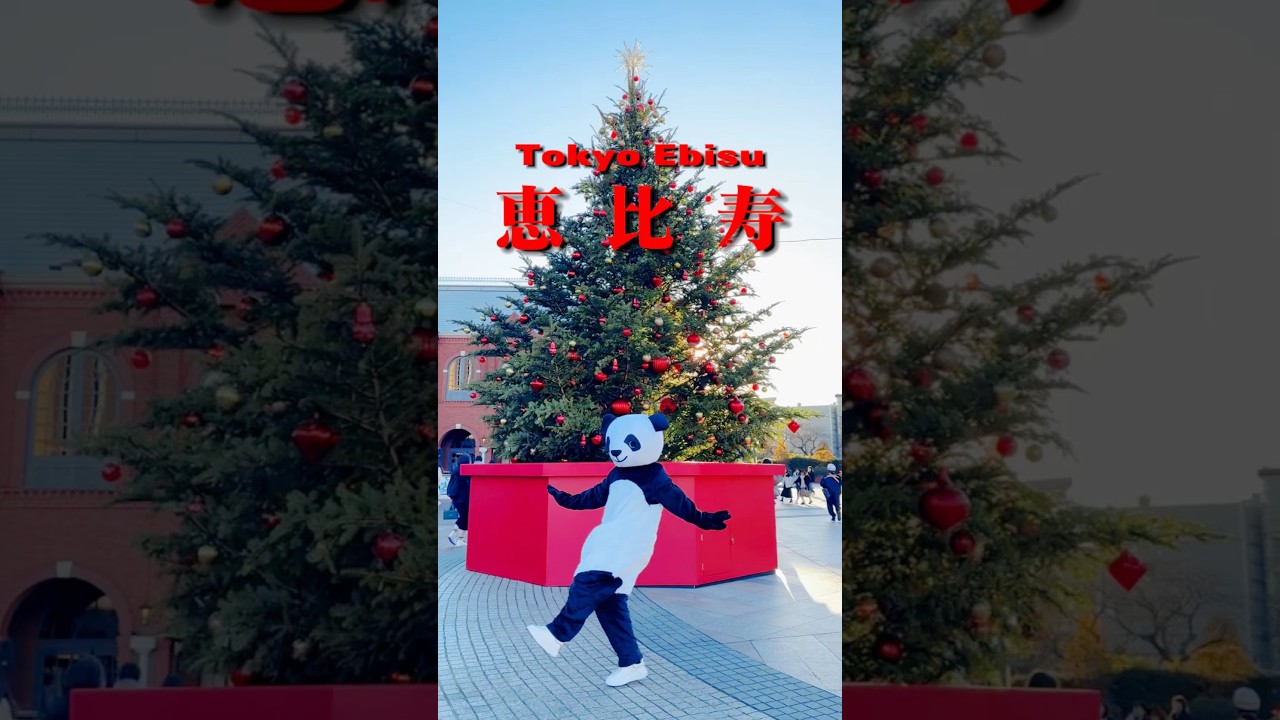 メリクリスマス🎄#流行りのダンス#tokyo#パンダ