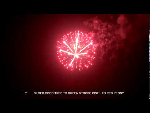 53 MXD006 SILVER COCO TREE TO GREEN STROBE PISTIL TO RED PEONY