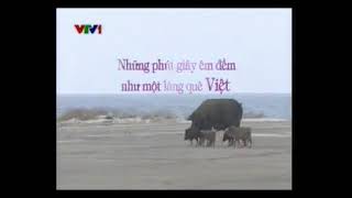 VTV1 - Chương trình đệm: Đảo Trường Sa (xx/5/2014)