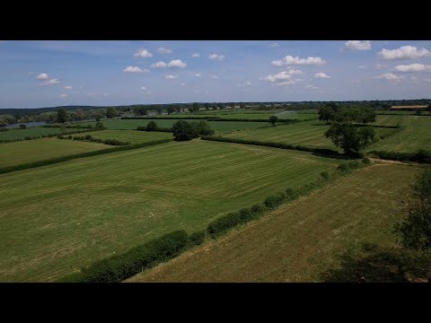 Maasheggen door Nederland aangedragen voor European Landscape Award 2026