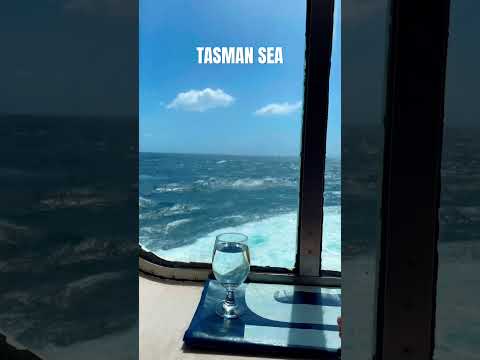 Thumbnail for #tasmansea #australia #carnivalsplendor