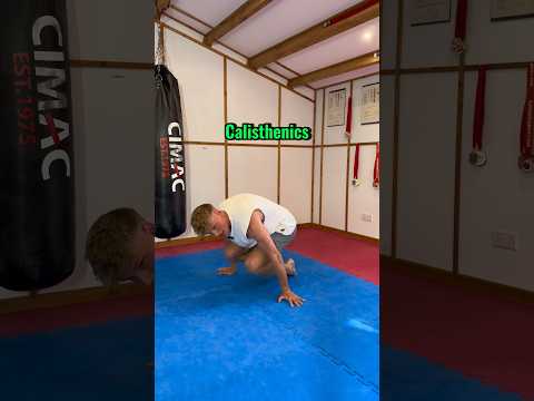 Weights or callisthenics for martial arts?