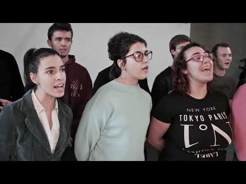 Polesine: Tera e Aqua