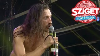 Gogol Bordello Trans-Continental Hustle &amp; Immigraniada Live @ Sziget 2015