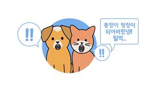 우리동네 동물병원 가격 투명공개! 1분만에 비교 가능해요