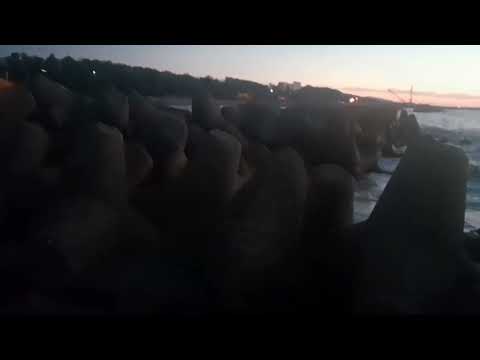 Wave-Dissipating Concrete Blocks | Coastal Protection, Shoreline Defense, and Japan Engineering