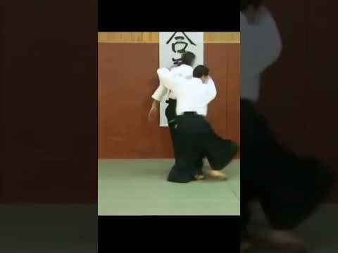 Aikido techniques shomenuchi iriminage Tissier sensei #aikido #martialarts #artesmarciales #shorts