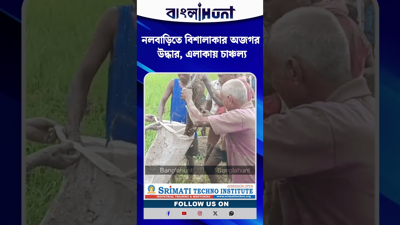 নলবাড়িতে হাল দিতে গিয়ে চমকে উঠলেন চাষিরা! উদ্ধার বিশালাকার অজগর, এলাকায় তীব্র চাঞ্চল্য