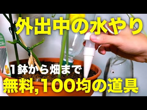 DIYの自動水やりを使った庭のアイデアを上げました